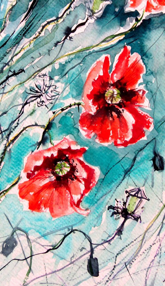 Playful poppy flowers