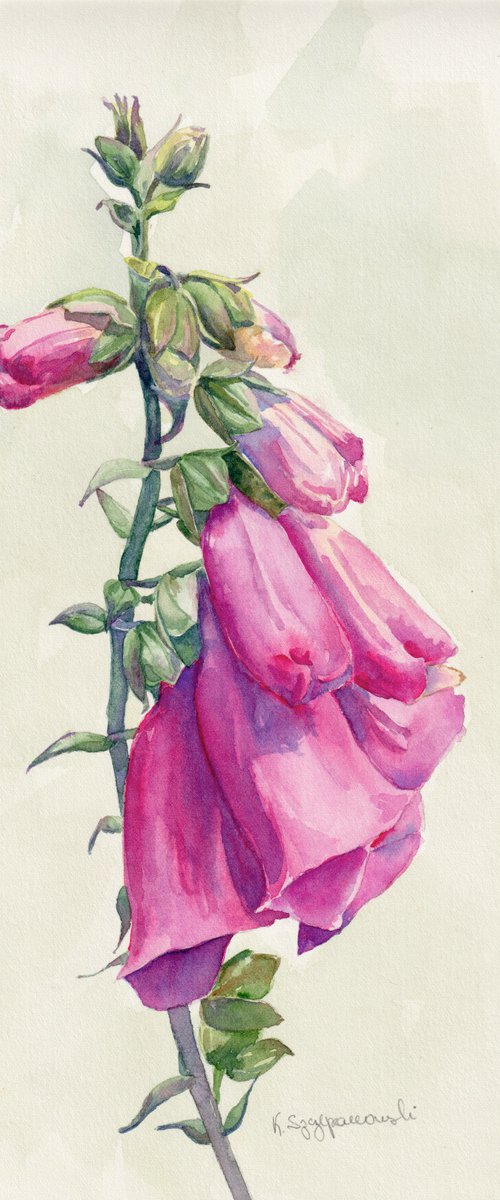 Foxgloves by Krystyna Szczepanowski