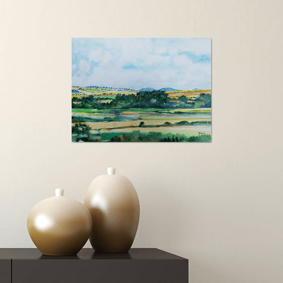 SUMMER LANDSCAPE