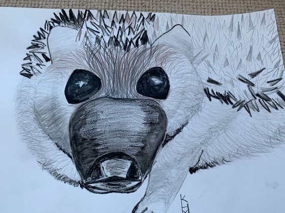 Hedgehog Big Face / Bird Art / Animals & Birds / Animal Portrait / Owl Art / Bird Art / Black and White / Original Artwork / Gifts For Her / Home Decor Wall Art 11.7"x16.5"