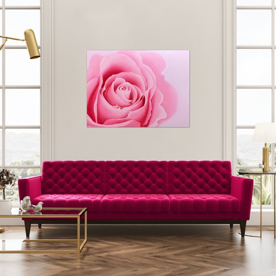 Majesty. Rose