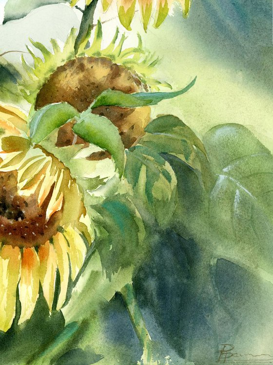 Sunflowers