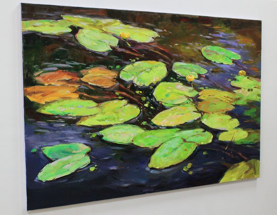 "Water lilies"