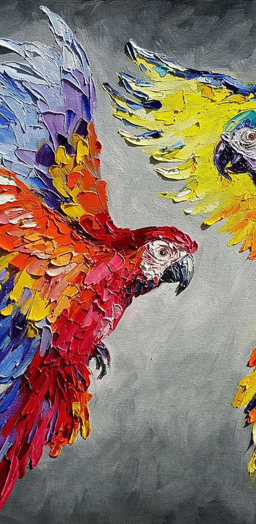 Dance in the sky - Ara parrot, bird, parrots, birds love, parrots art by Anastasia Kozorez