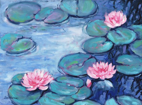 Pink Waterlilies