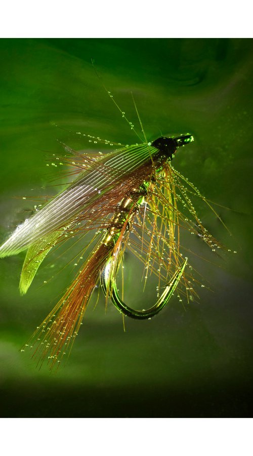 'Wickhams Fancy' by John Angerson Studio