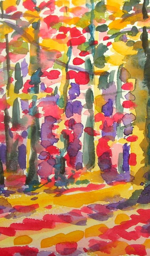 Sunlit woods by Maja Grecic