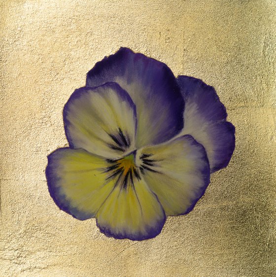 Pansy #18