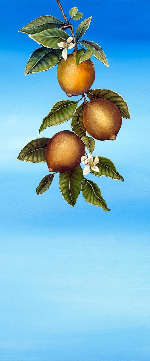 O Limoeiro (The Lemon Tree) by Deborah Jones