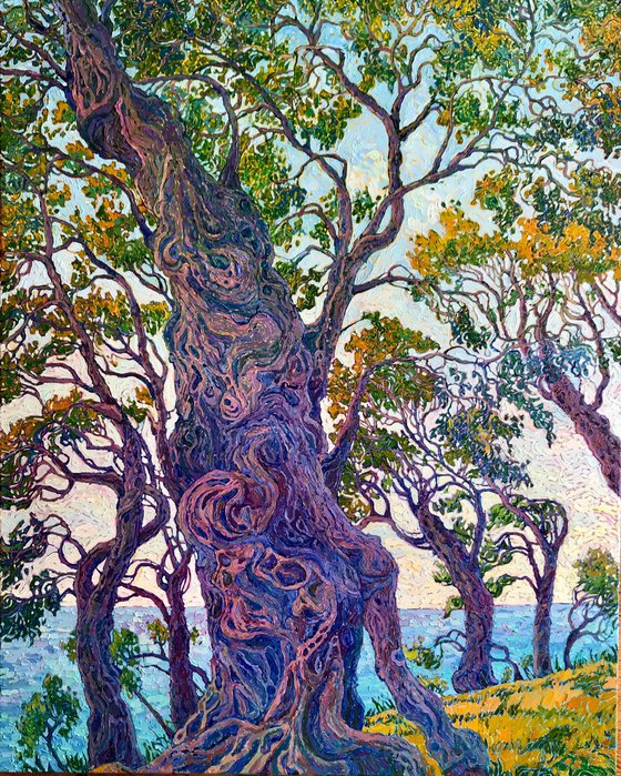 Beneath the Olive Canopy