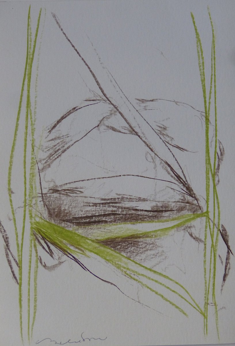 Expressive Landscape Pencil Drawing By Frederic Belaubre, 8 X 11, The Pond, Original Artwork