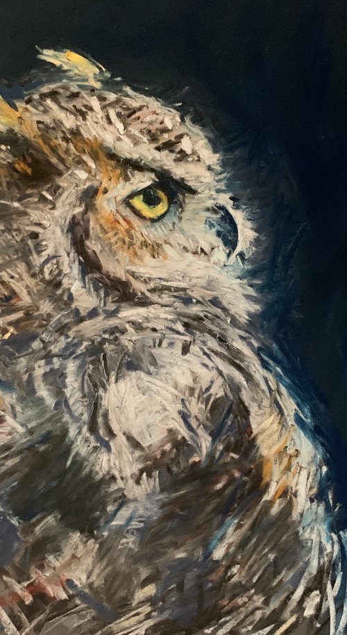Owl by Andrew Moodie