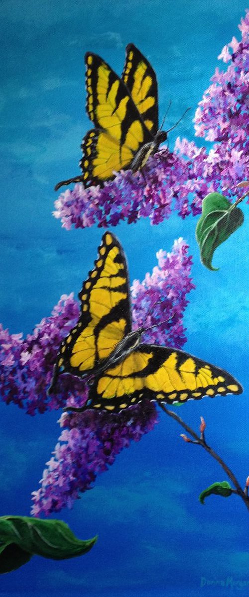 The Color of Wind by Donna Daniels
