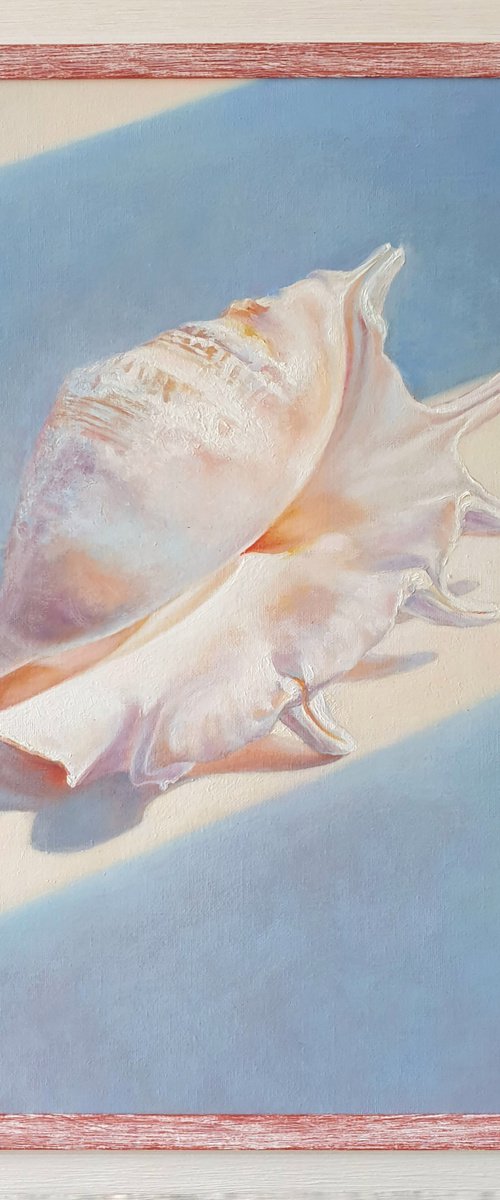 "An attribute of the divine Aphrodite."  still life seashell  liGHt original painting  GIFT (2021) by Anna Bessonova (Kotelnik)