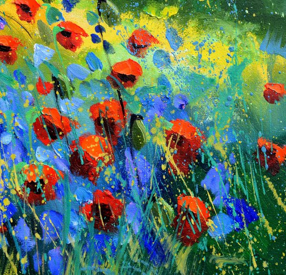 red poppies