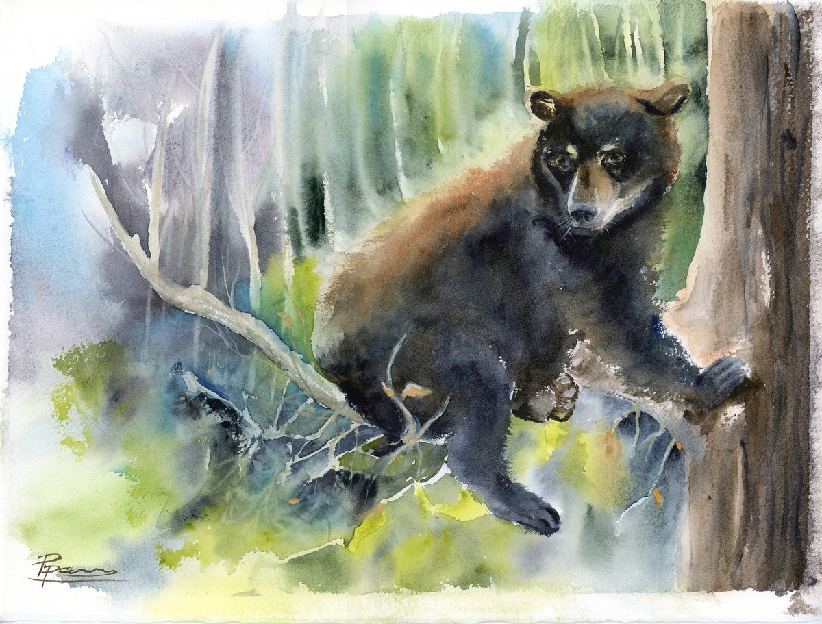 Impressionistic Animal Watercolour By Olga Tchefranov (Shefranov), 15 X 11", Forest Explorer, Original Artwork