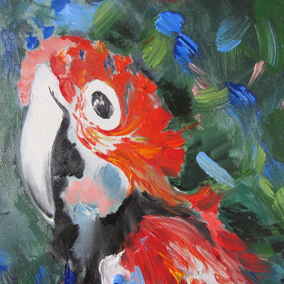 Macaw hedonist