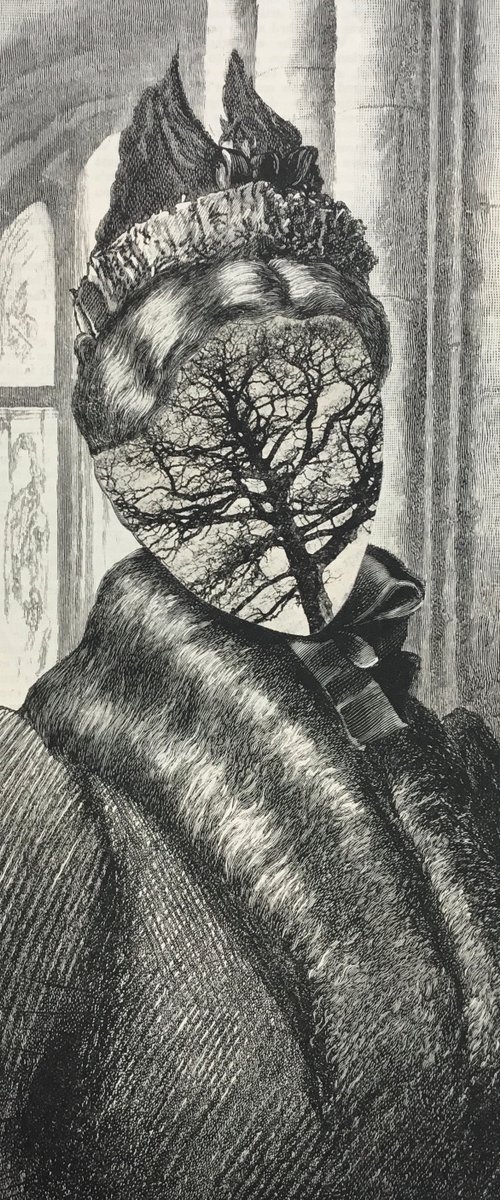 Dark Branches by Tudor Evans