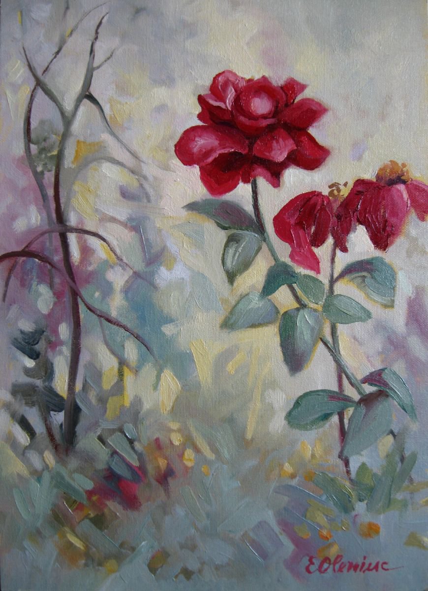 Red rose by Elena Oleniuc