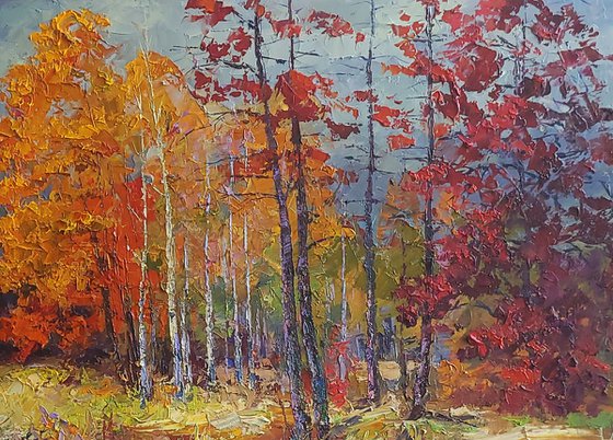 Autumn forest