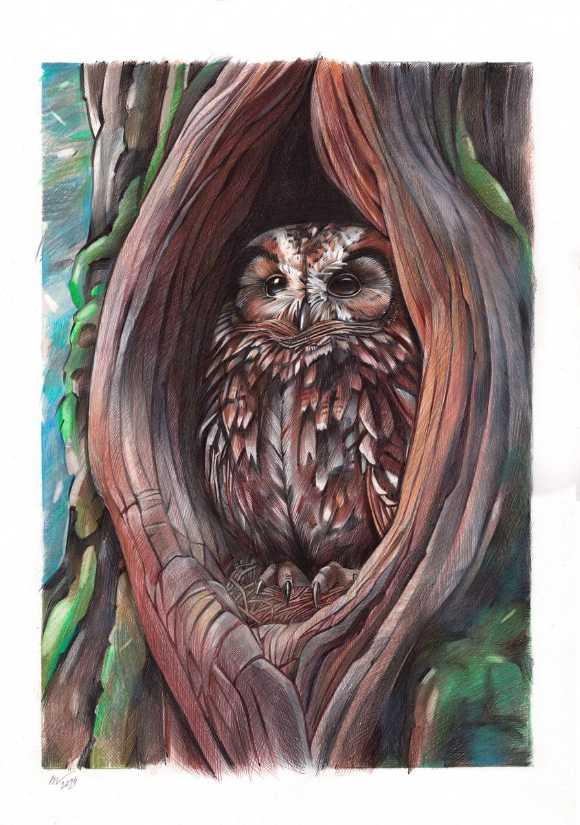 Photorealistic Animal Drawing By Daria Maier, 14 X 20, The Hollow Within, Original Artwork