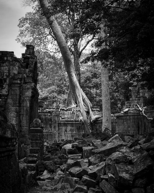 Angkor Series No.3 (Black and White) - Signed Limited Edition by Serge Horta