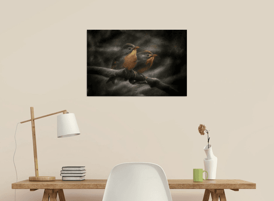 Exotic Robins Textured