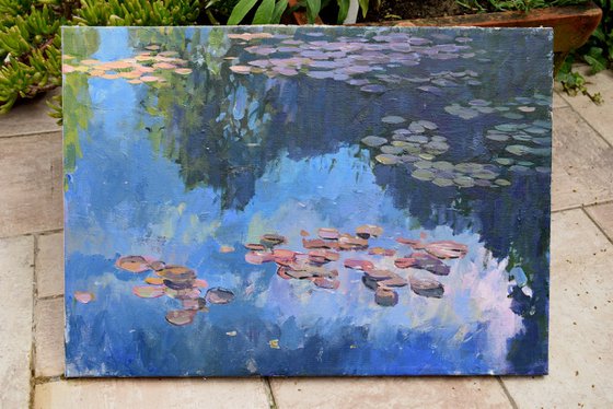 Water lilies light and shadow