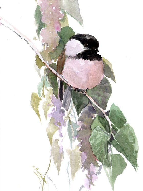 Chickadee Bird watercolor art