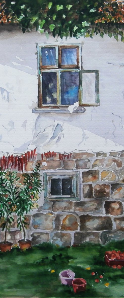 THE WINDOW / 25 x 35 cm by Zoran Mihajlović Muza
