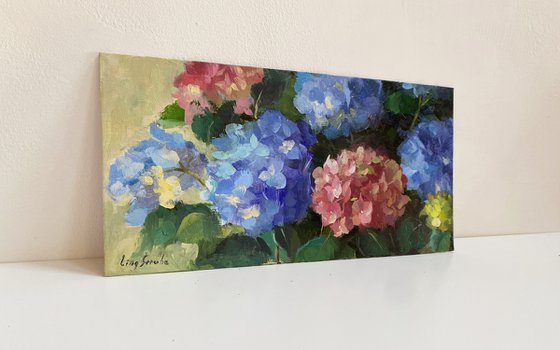 Hydrangea Garden #2