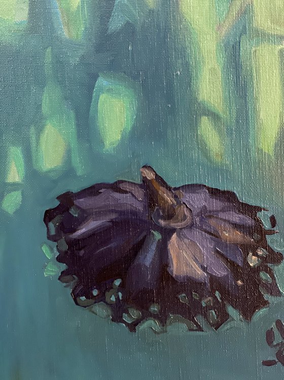 Dreams of Flight
