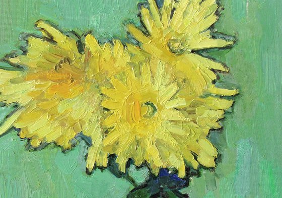 Yellow Chrysanthemums Against Green Background