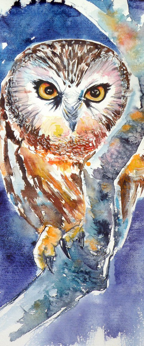 Owl at night by Kovács Anna Brigitta