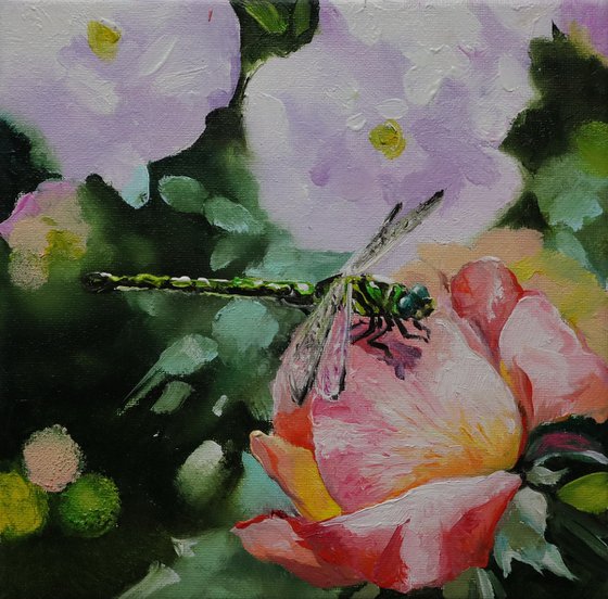 Dragonfly on Pink Rose