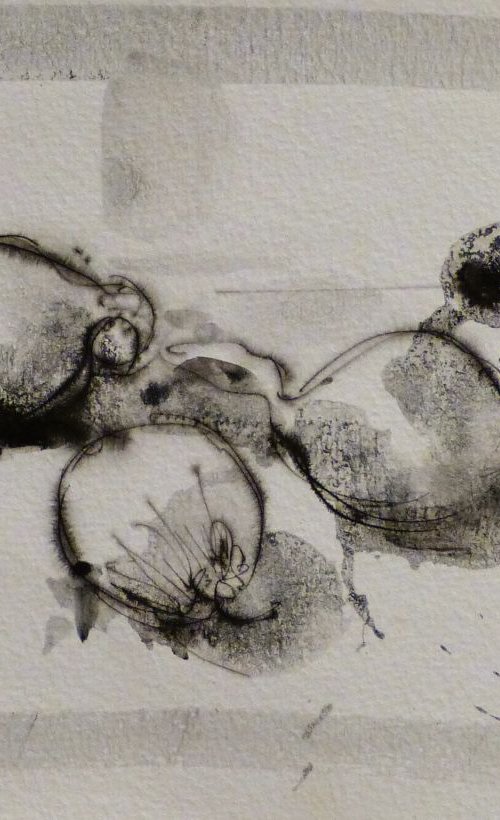 Still Life: Onions, 26x18 cm by Frederic Belaubre