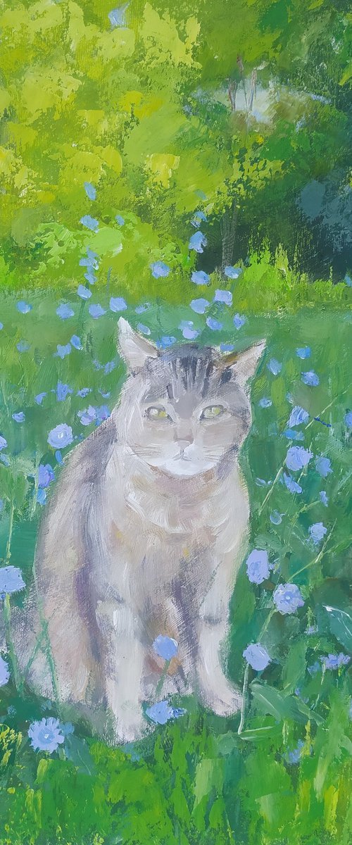 Сat in the grass by Valentina Andrukhova