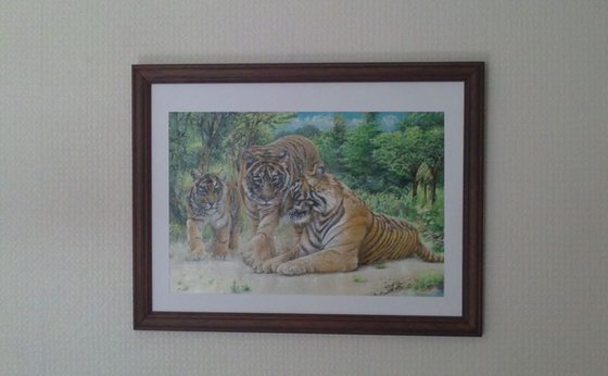 kings of the forest