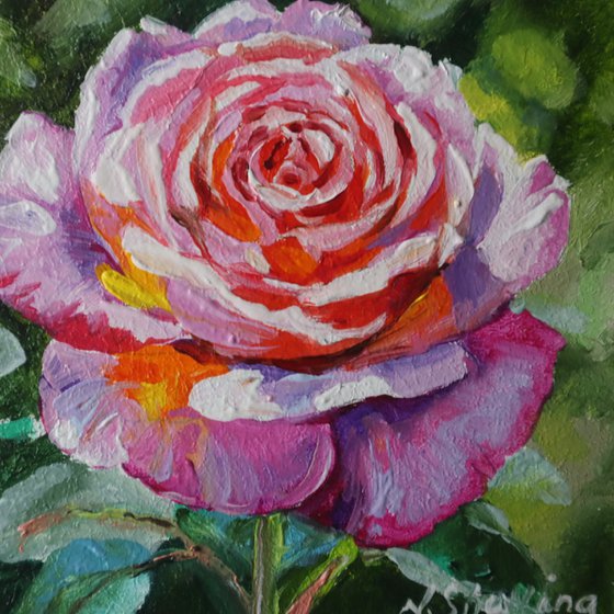Peony and Rose Miniature Set