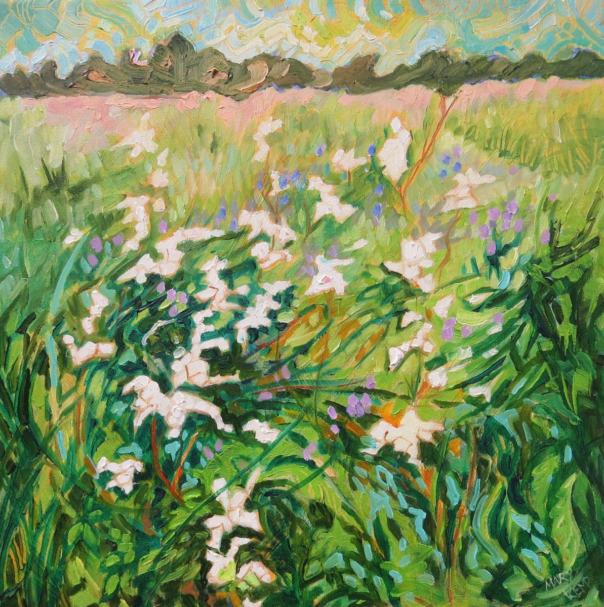 Tangled Meadowsweet in Wildflower Meadow by Mary Kemp
