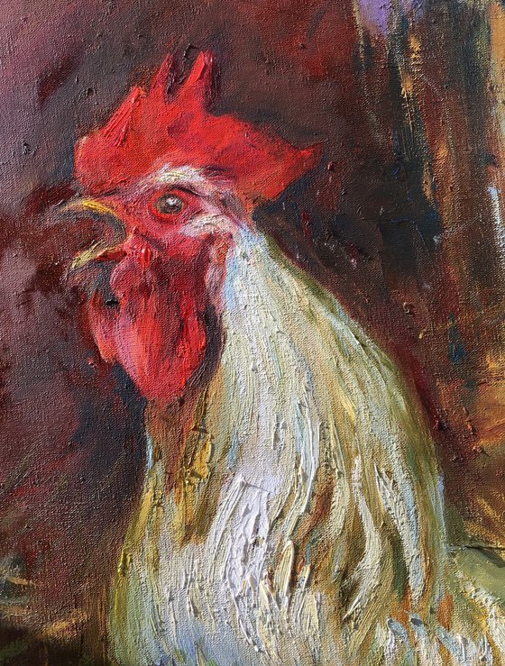 Rooster. Guard of the yard