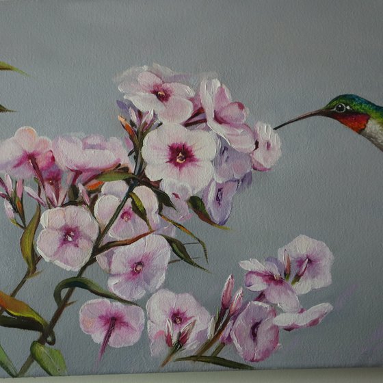 Hummingbird and Pink Flowers