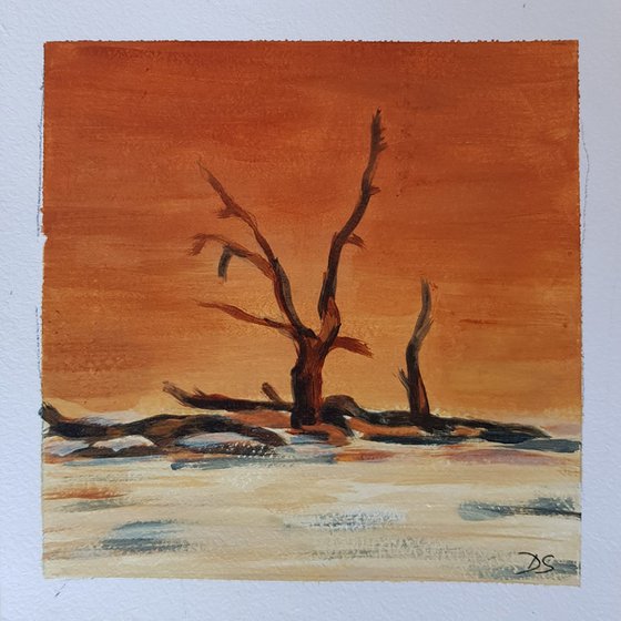 Desert Acacia Diptych