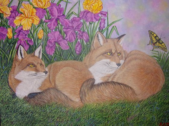 Foxes and Irises