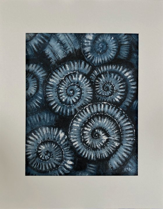 Ammonites II