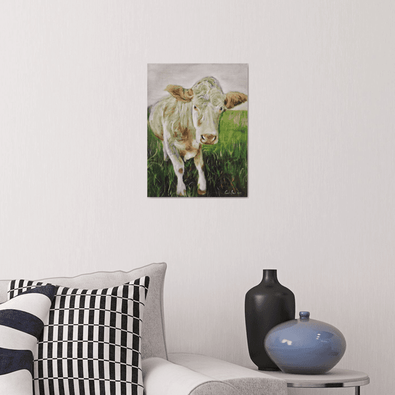 Cow oil on linen canvas