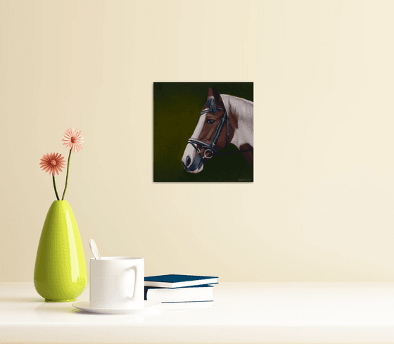 Horse Portrait 62