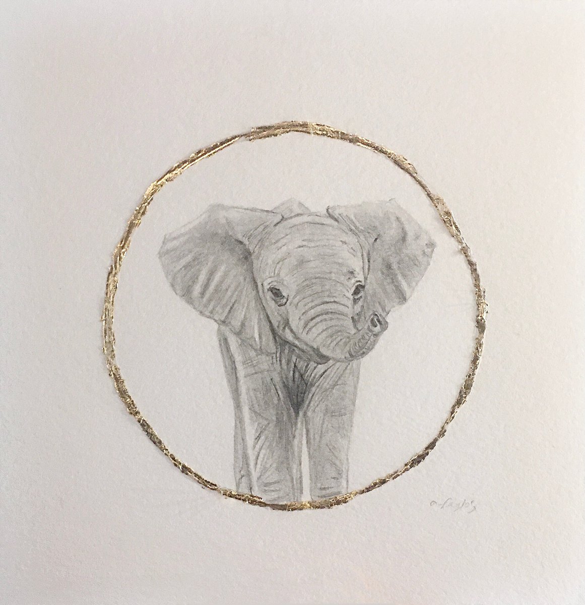Graphite elephant drawing. by Amelia Taylor