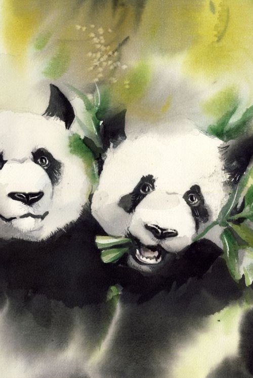 Panda in love by Alfred  Ng