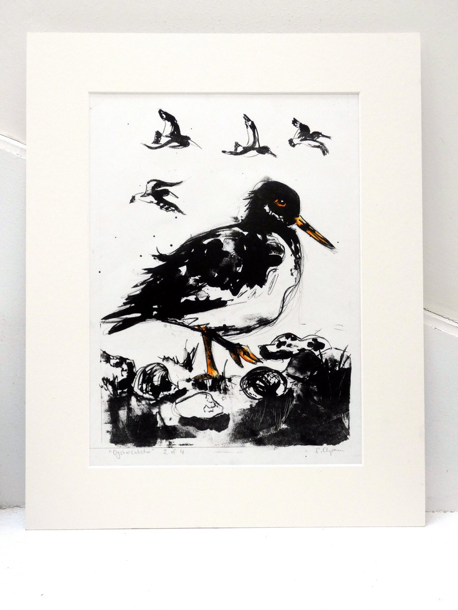 Oystercatcher (Limited Edition 2 of 4) by Sheila Chapman